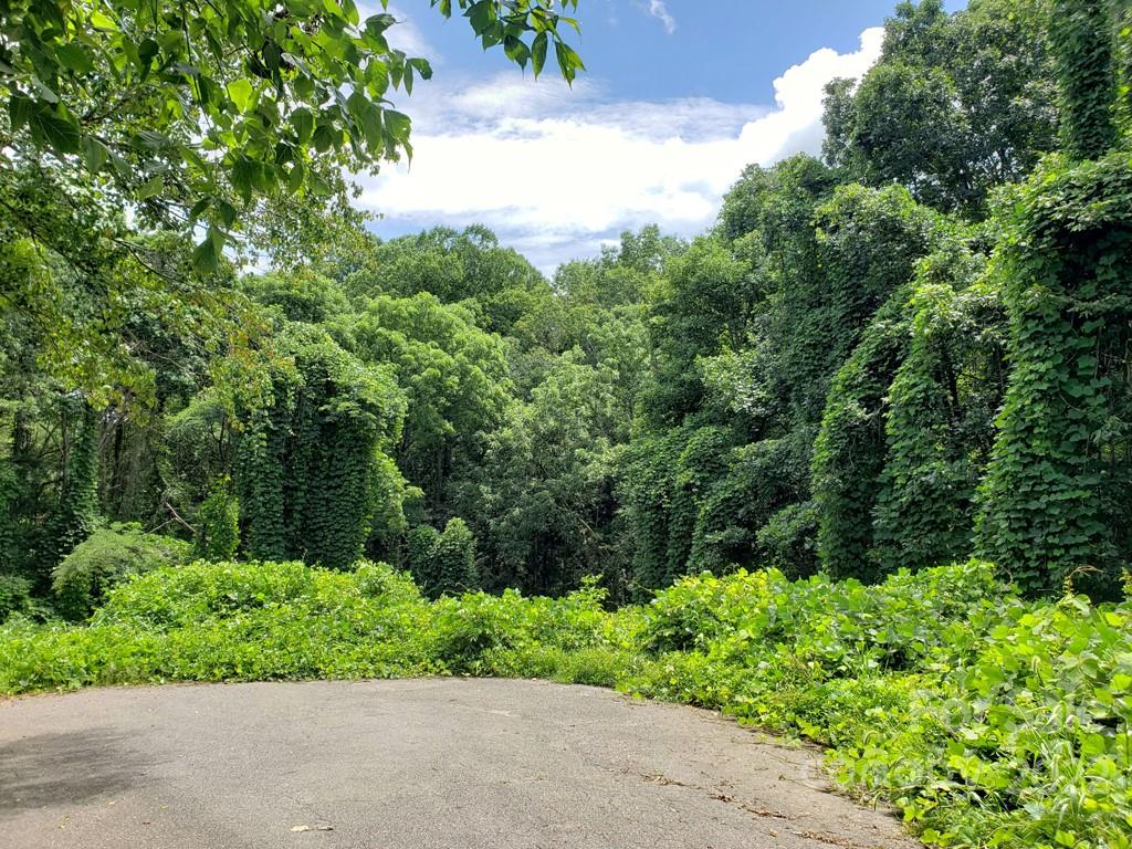 548 Caribou Road Asheville NC 28803