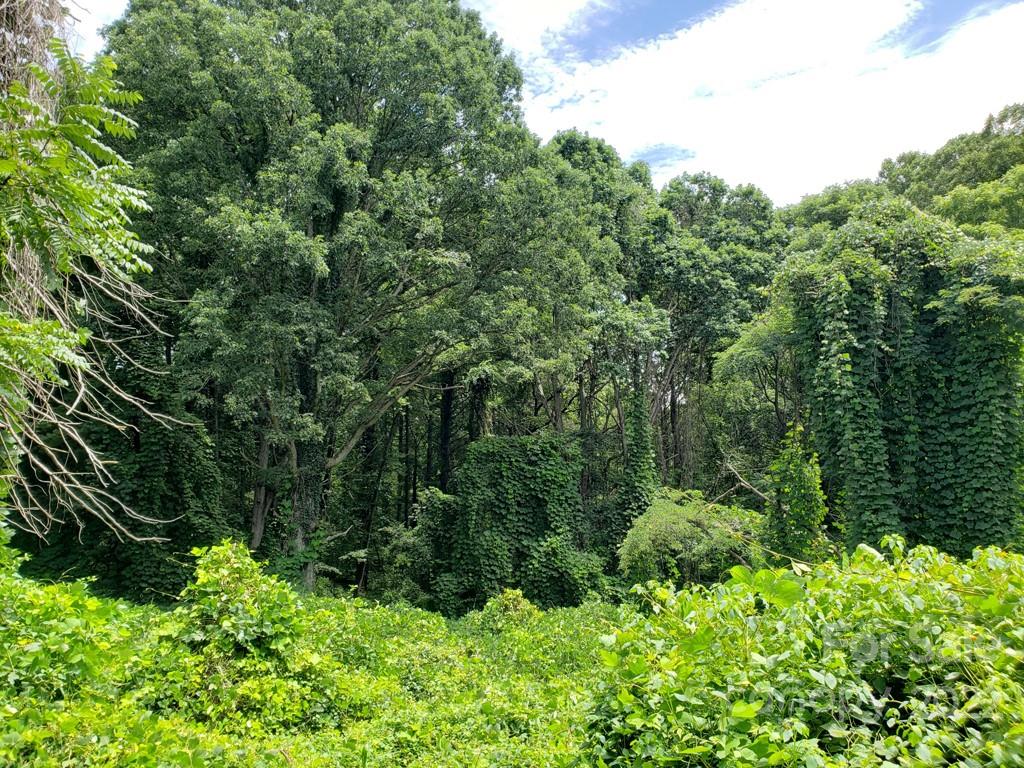 548 Caribou Road Asheville NC 28803