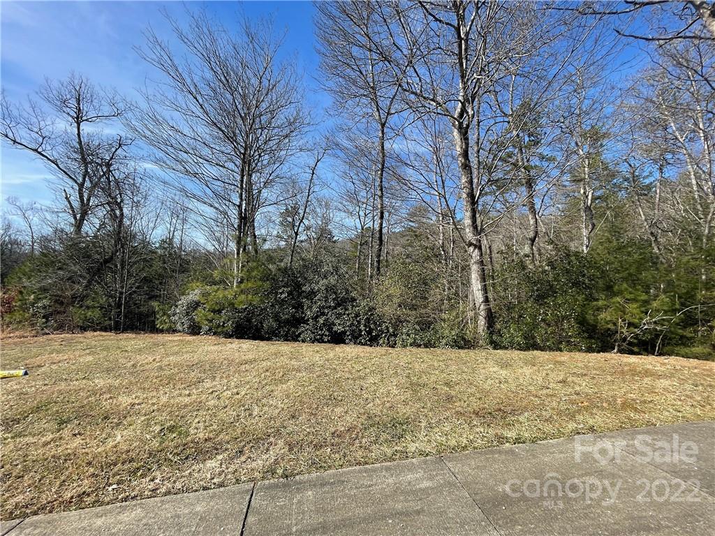 Sh11 Springhouse Trail Brevard NC 28712