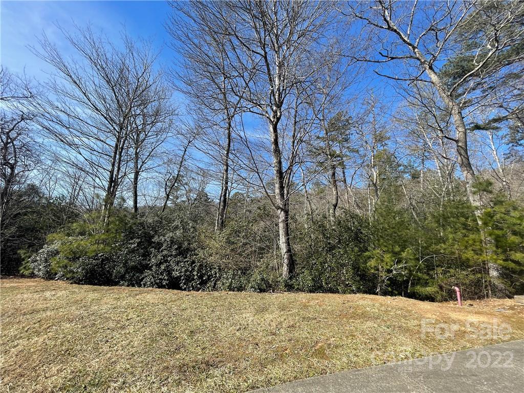 Sh11 Springhouse Trail Brevard NC 28712