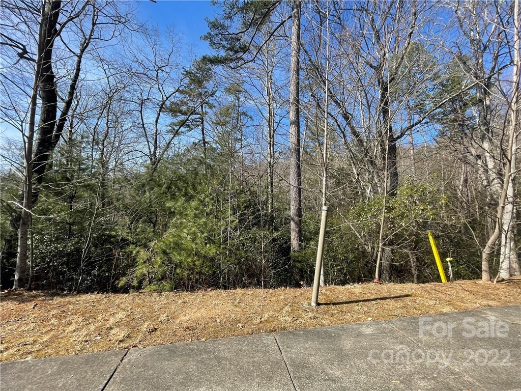 Sh11 Springhouse Trail Brevard NC 28712