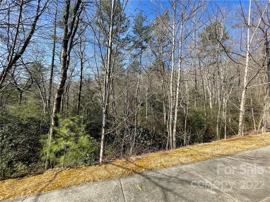 Sh11 Springhouse Trail Brevard NC 28712