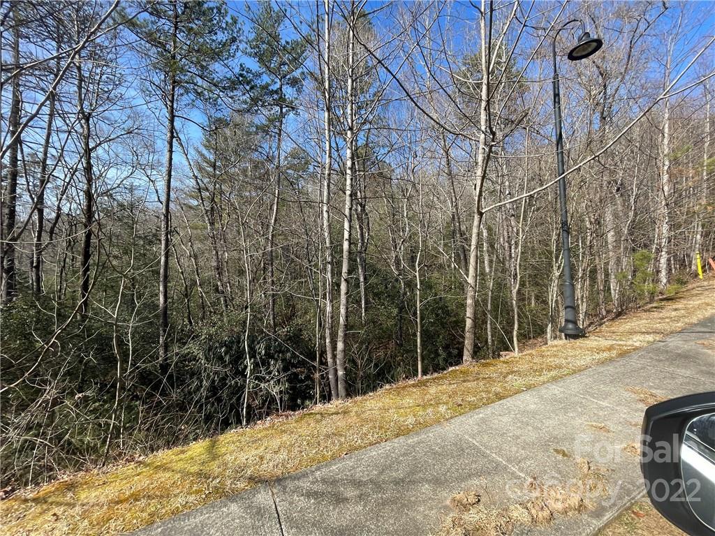 Sh11 Springhouse Trail Brevard NC 28712