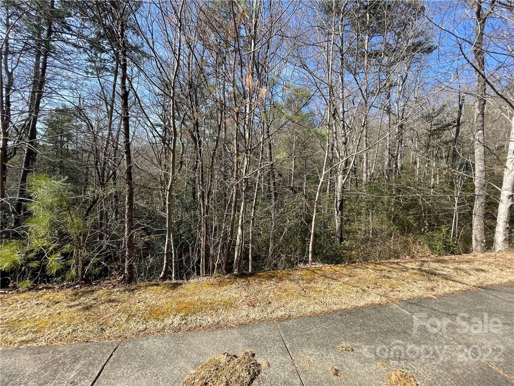 Sh11 Springhouse Trail Brevard NC 28712