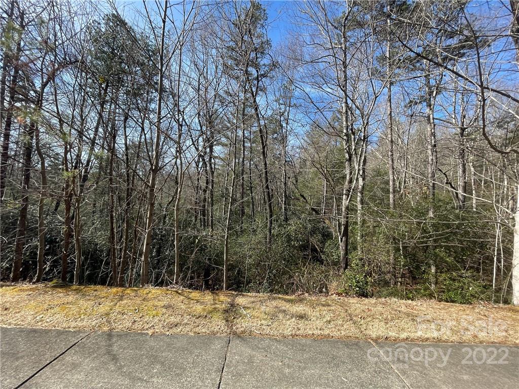 Sh11 Springhouse Trail Brevard NC 28712