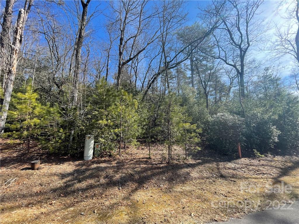 Sh11 Springhouse Trail Brevard NC 28712