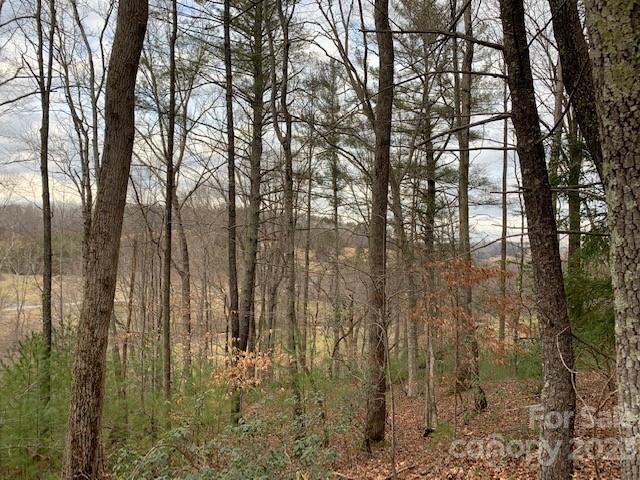 Lot 6 Theresa Terrace Meadows Nebo NC 28761