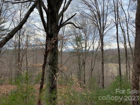 Lot 6 Theresa Terrace Meadows Nebo NC 28761