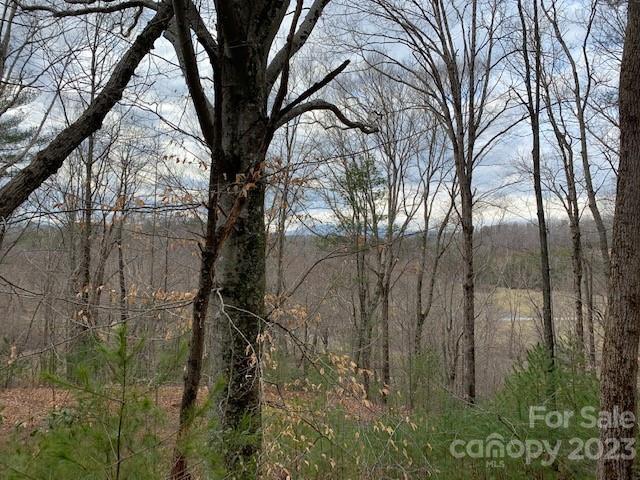 Lot 6 Theresa Terrace Meadows Nebo NC 28761