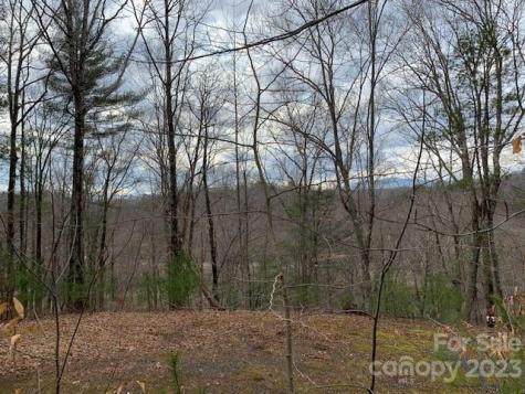 Lot 6 Theresa Terrace Meadows Nebo NC 28761