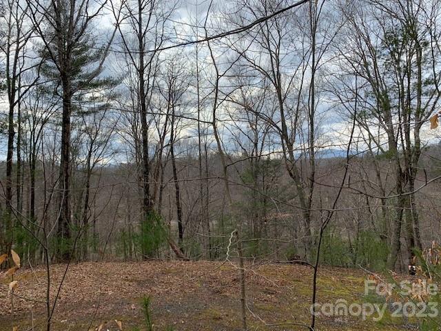 Lot 6 Theresa Terrace Meadows Nebo NC 28761