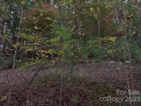 Lot 6 Theresa Terrace Meadows Nebo NC 28761
