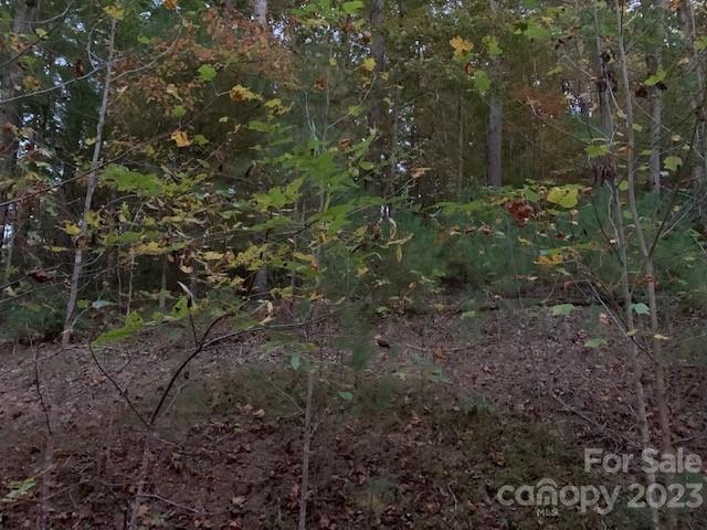 Lot 6 Theresa Terrace Meadows Nebo NC 28761
