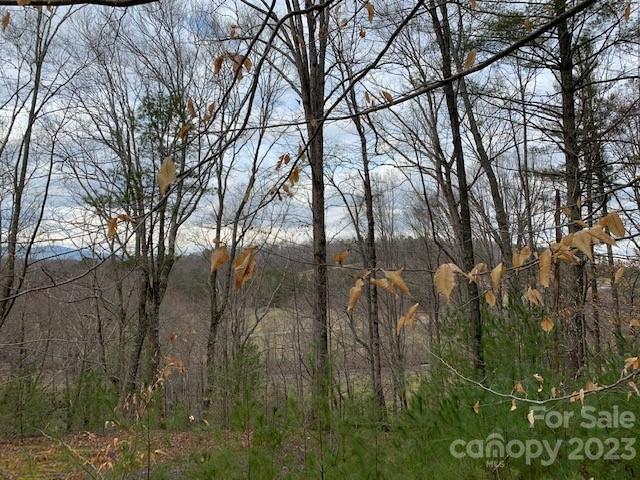 Lot 6 Theresa Terrace Meadows Nebo NC 28761