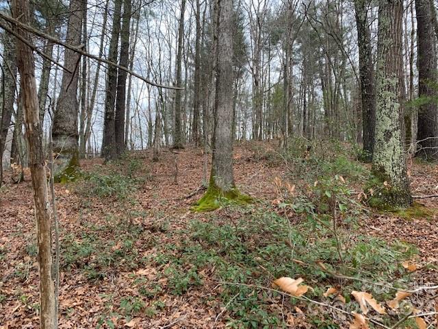 Lot 6 Theresa Terrace Meadows Nebo NC 28761