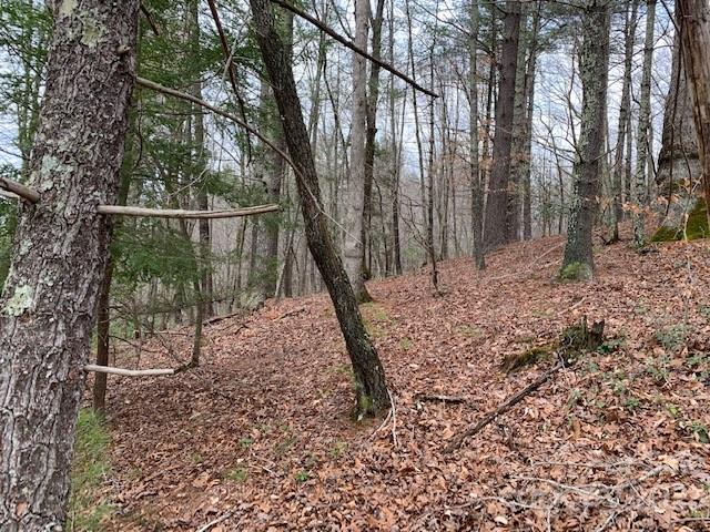 Lot 6 Theresa Terrace Meadows Nebo NC 28761