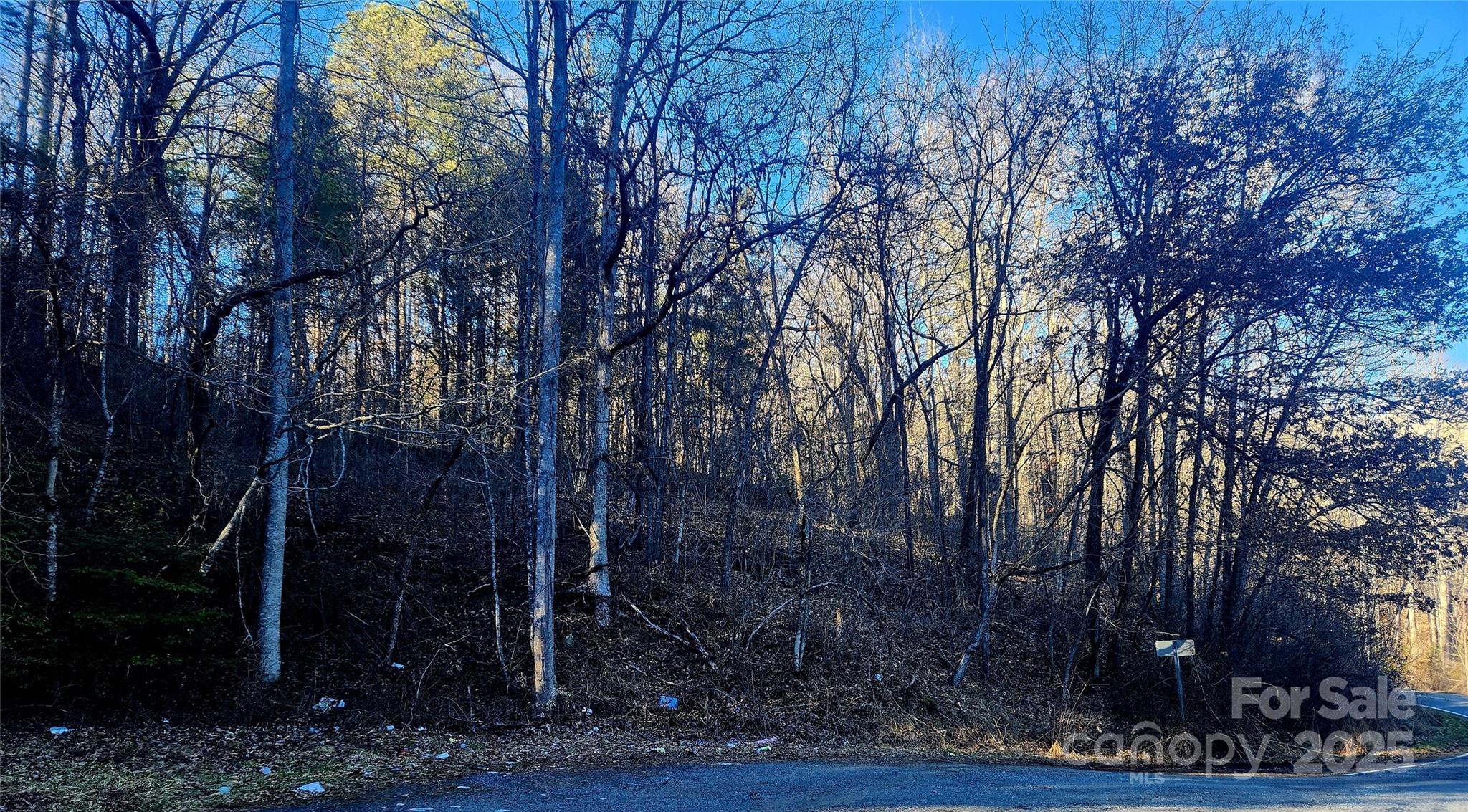 002 Lyle Wilson Road Cullowhee NC 28723