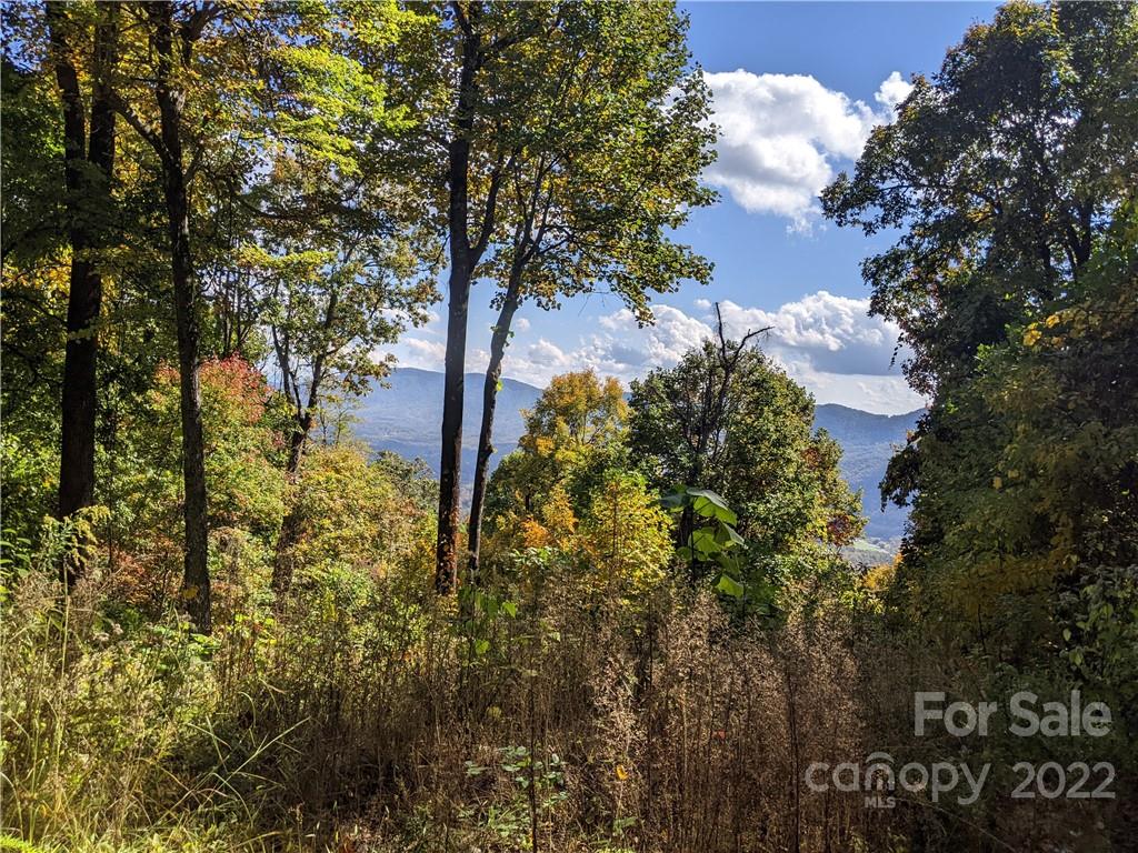 2687 Creston Drive, Black Mountain NC MLS Car3915253 Greybeard Realty