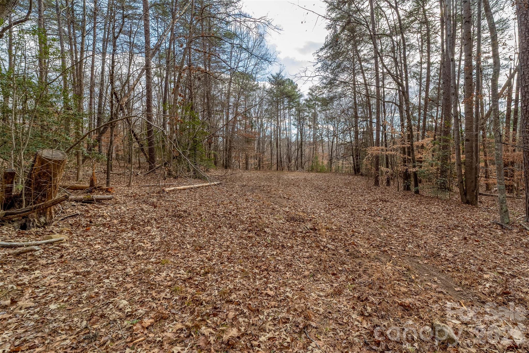 000 Whippoorwill Lane Mount Holly NC 28120