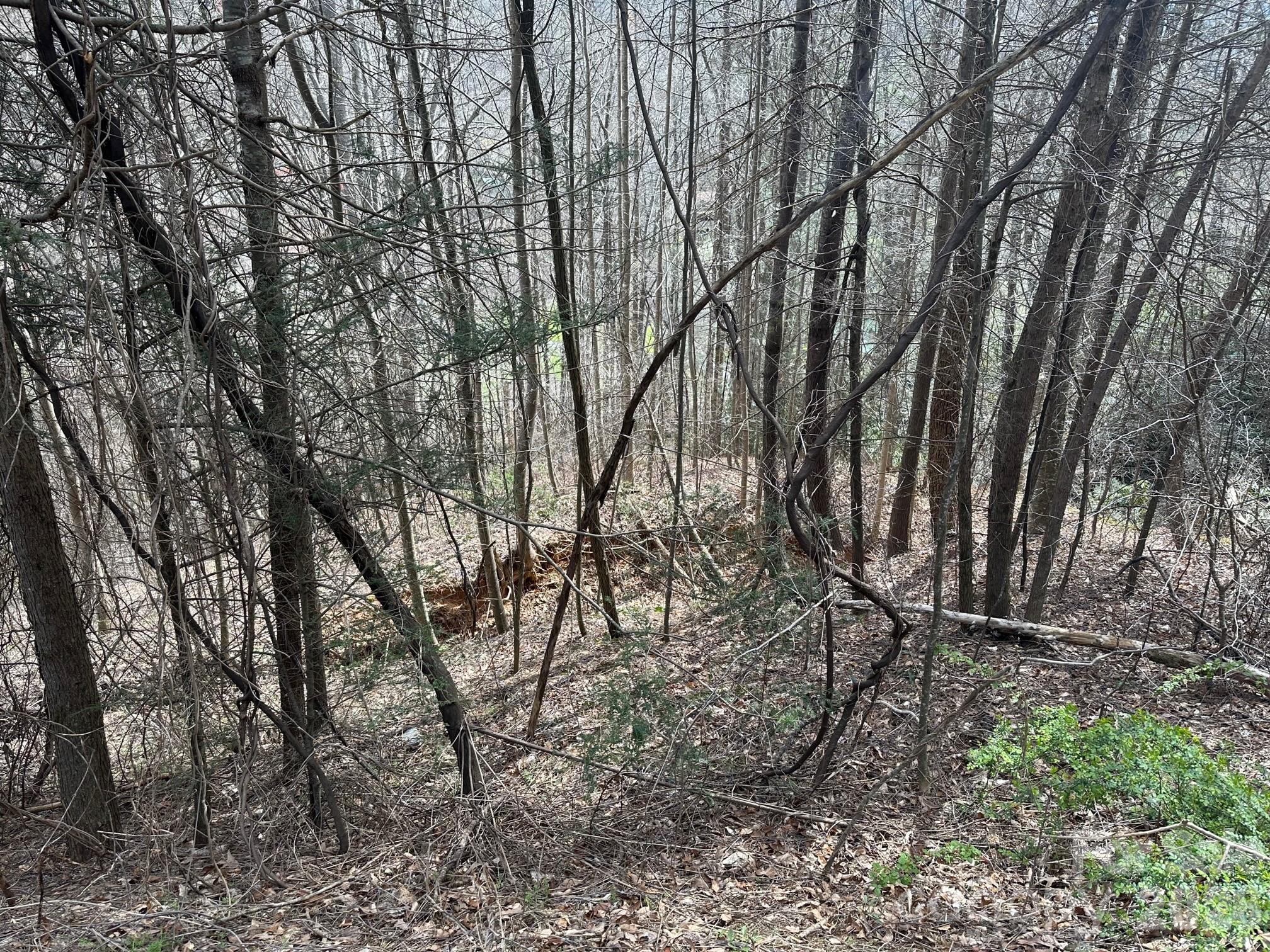 0 Tuckaway Ridge Drive Hendersonville NC 28792