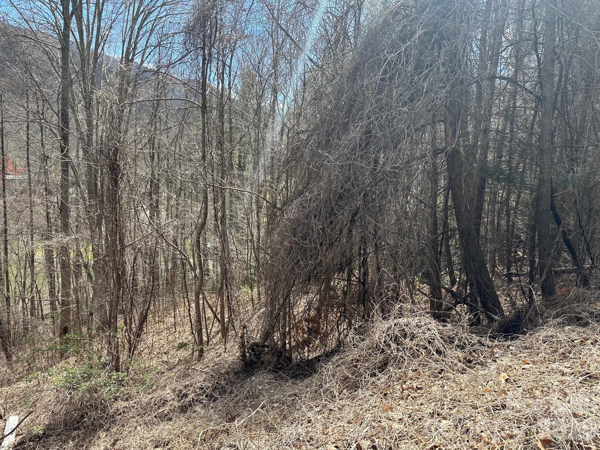0 Tuckaway Ridge Drive Hendersonville NC 28792