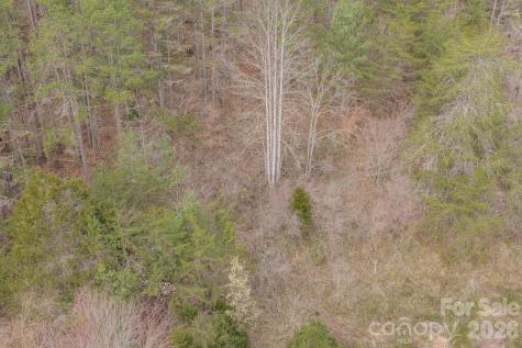 25 Sage Drive Weaverville NC 28787