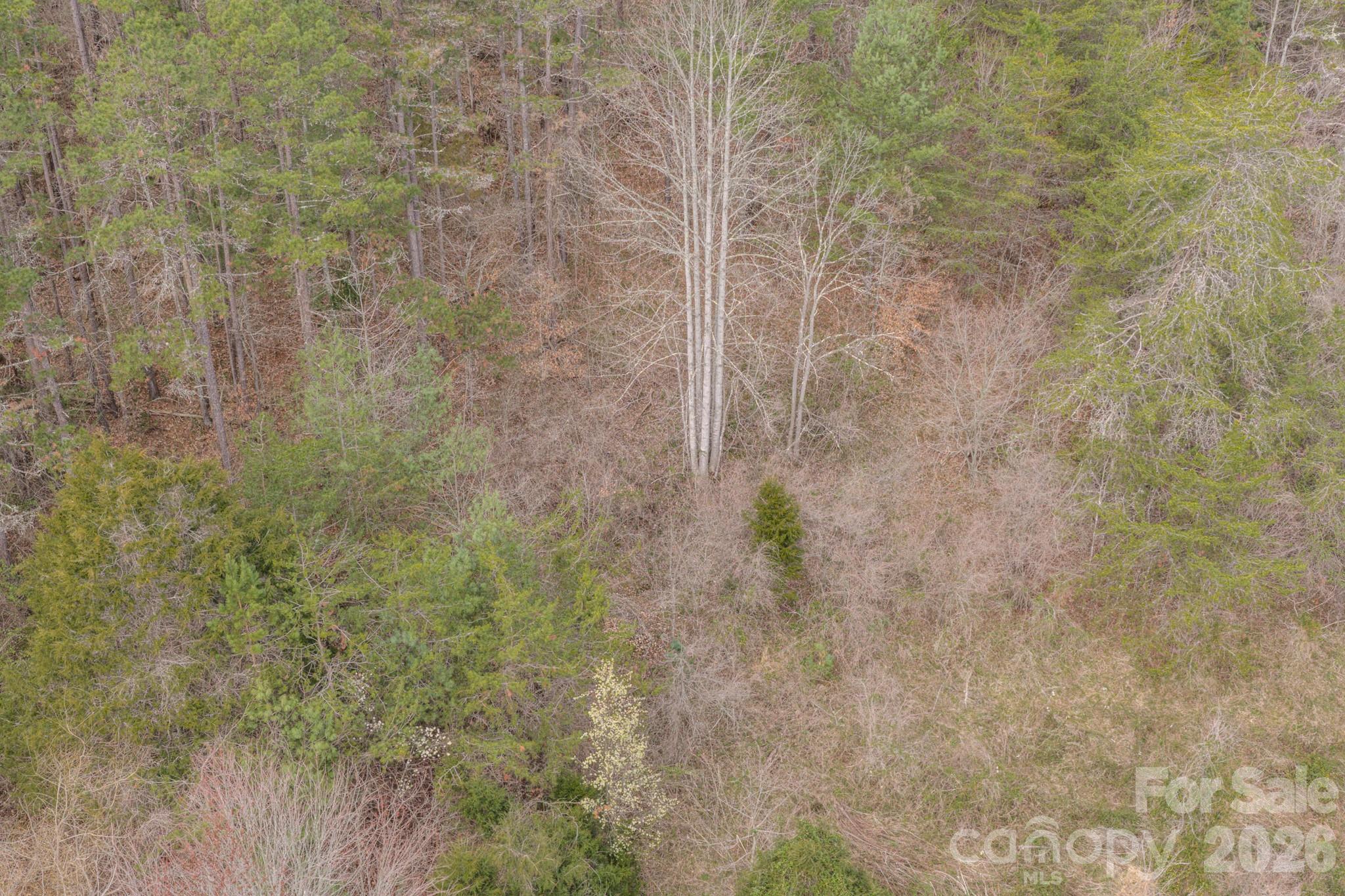25 Sage Drive Weaverville NC 28787