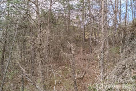 25 Sage Drive Weaverville NC 28787