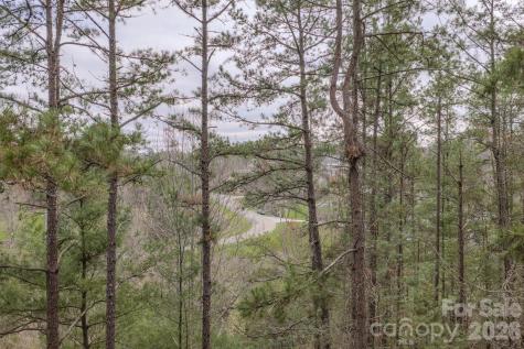 25 Sage Drive Weaverville NC 28787