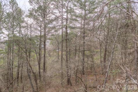 25 Sage Drive Weaverville NC 28787