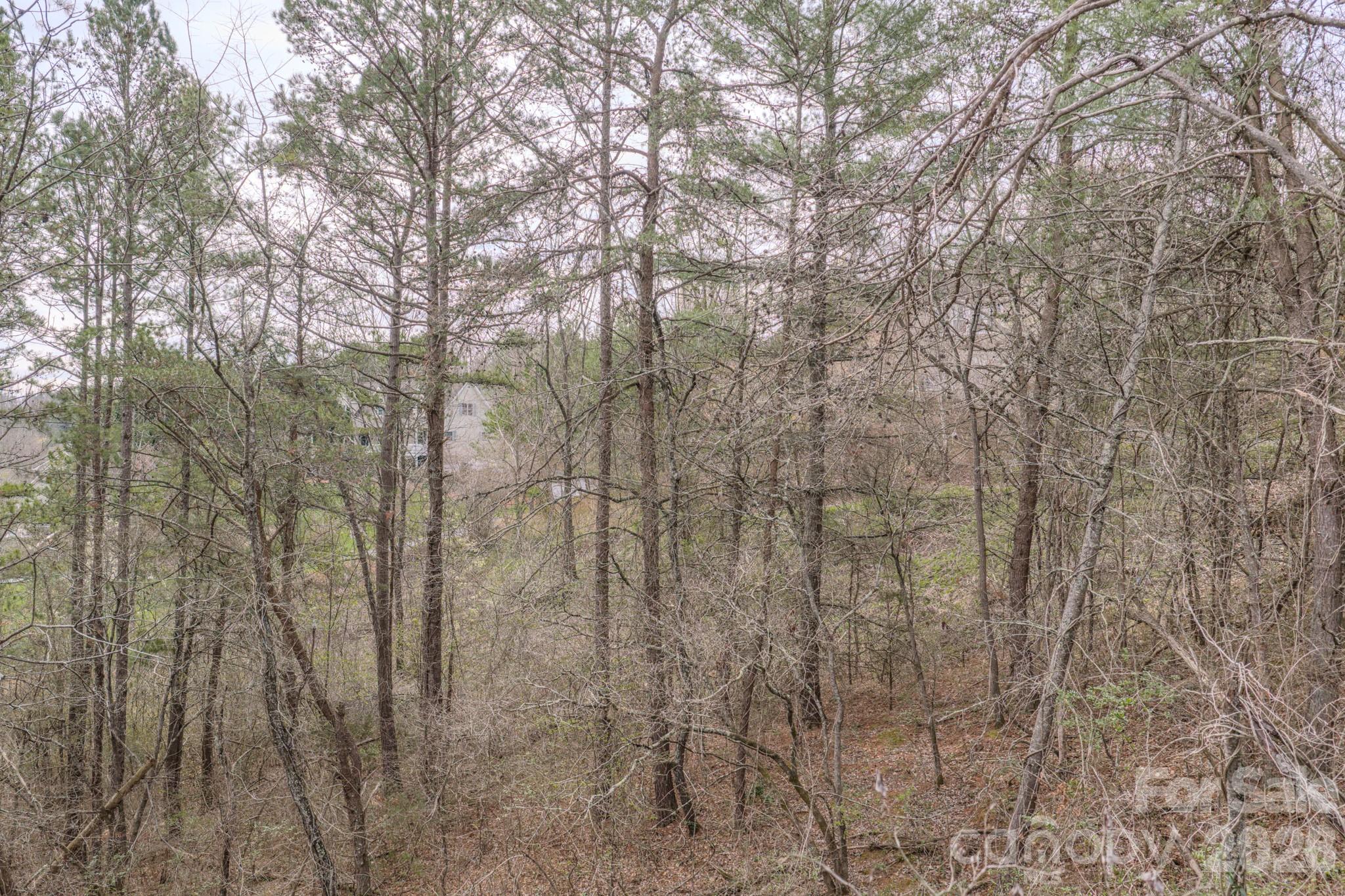 25 Sage Drive Weaverville NC 28787