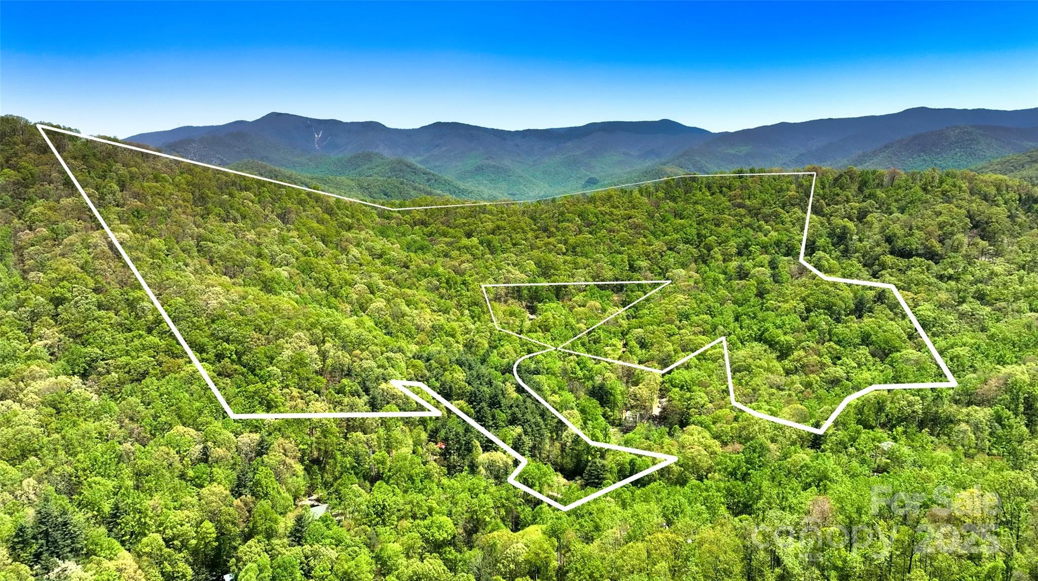 99999 Anderson Cove Road Barnardsville NC 28709