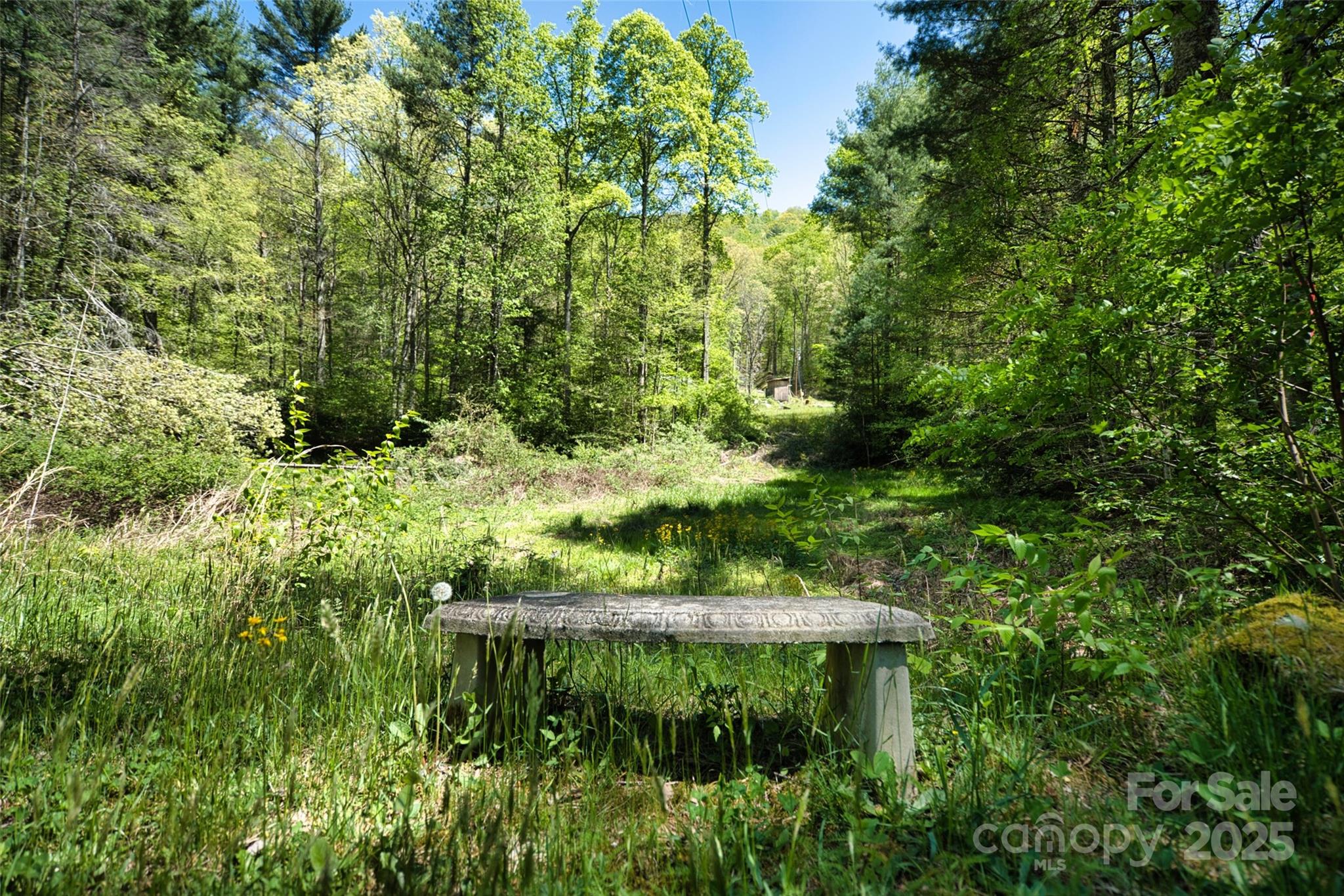 99999 Anderson Cove Road Barnardsville NC 28709