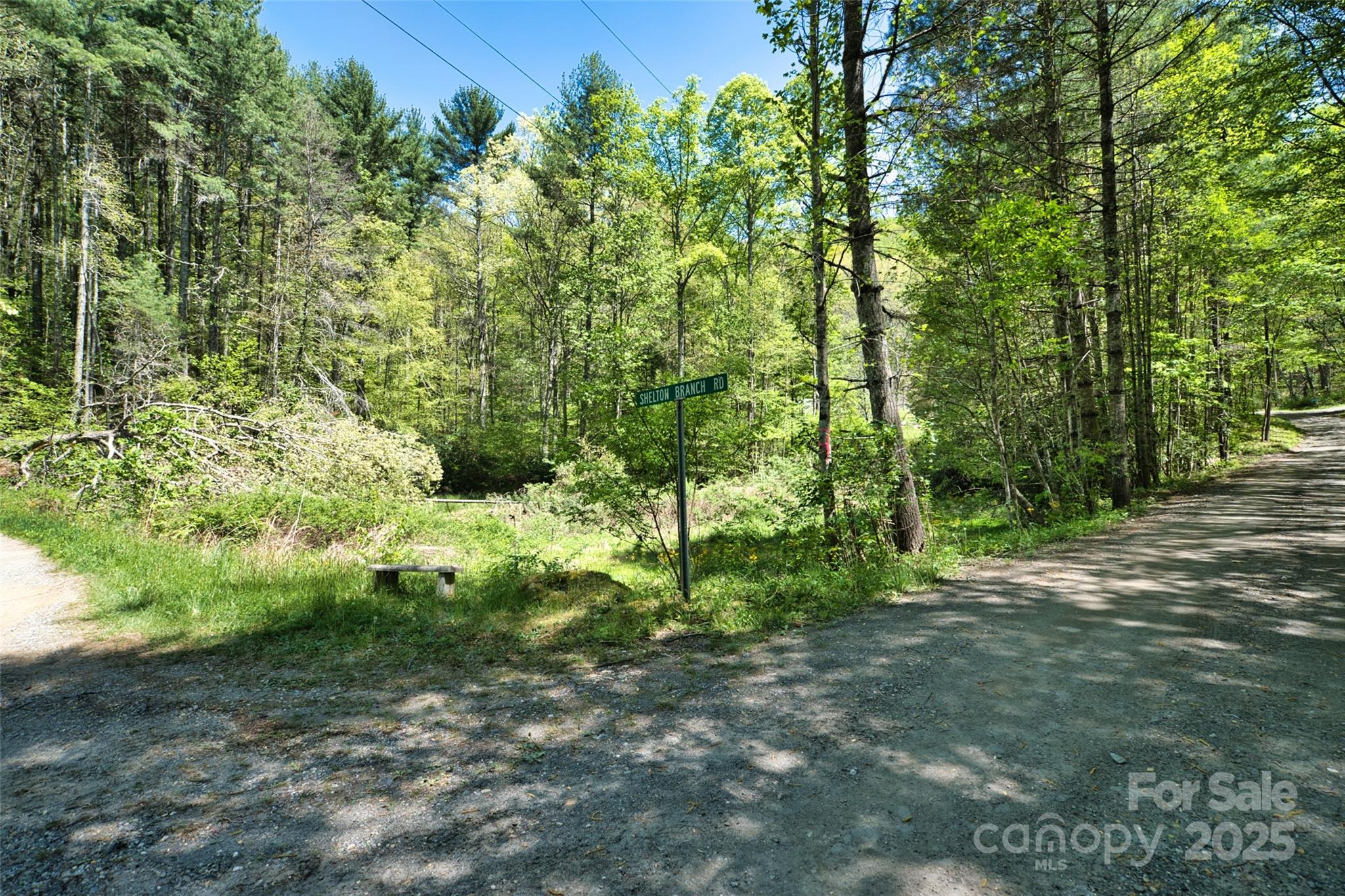 99999 Anderson Cove Road Barnardsville NC 28709