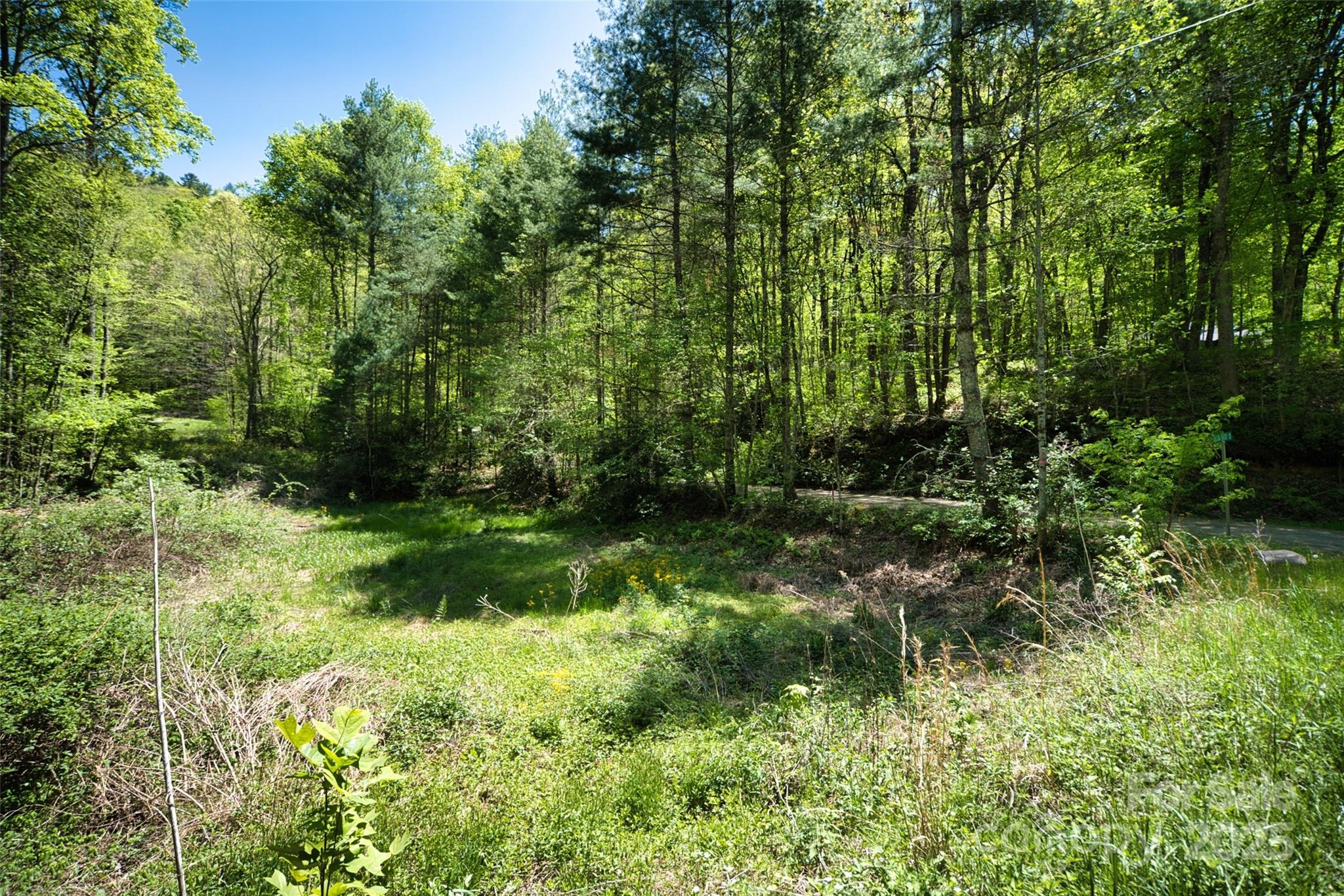 99999 Anderson Cove Road Barnardsville NC 28709