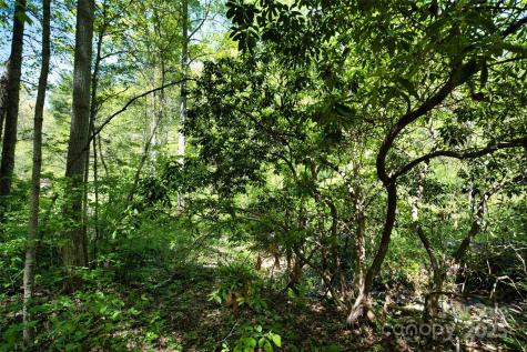 99999 Anderson Cove Road Barnardsville NC 28709