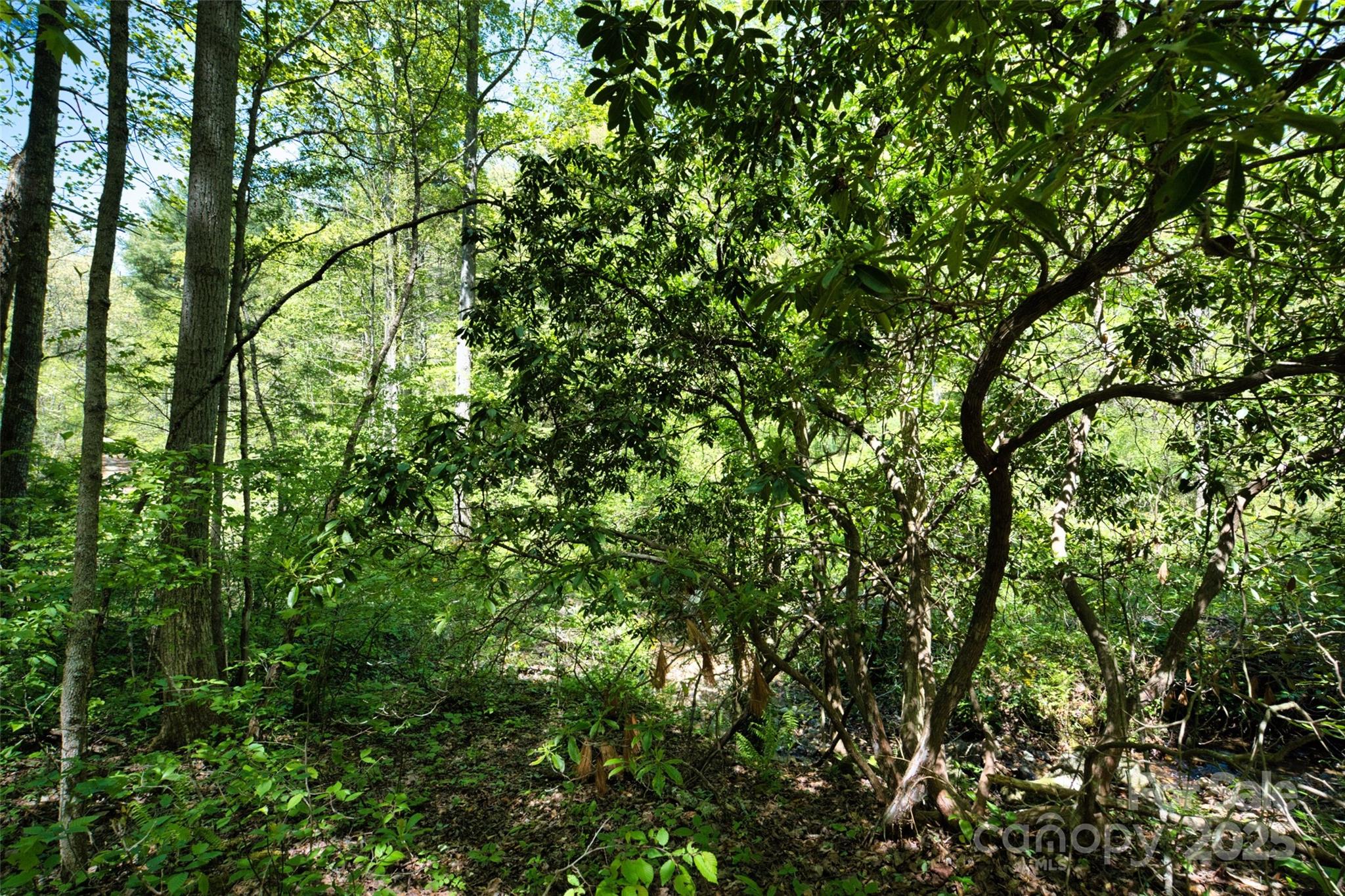 99999 Anderson Cove Road Barnardsville NC 28709