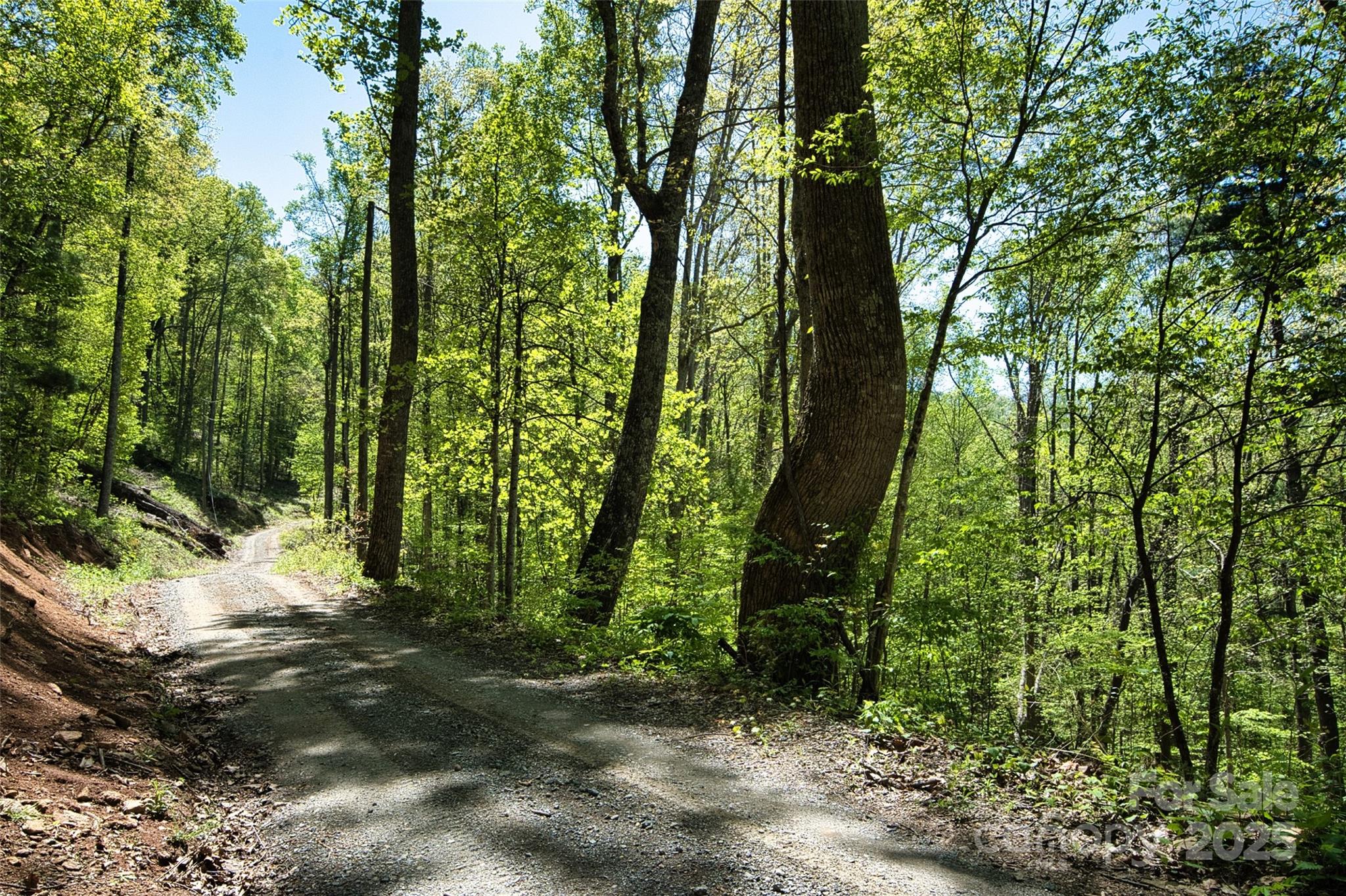 99999 Anderson Cove Road Barnardsville NC 28709