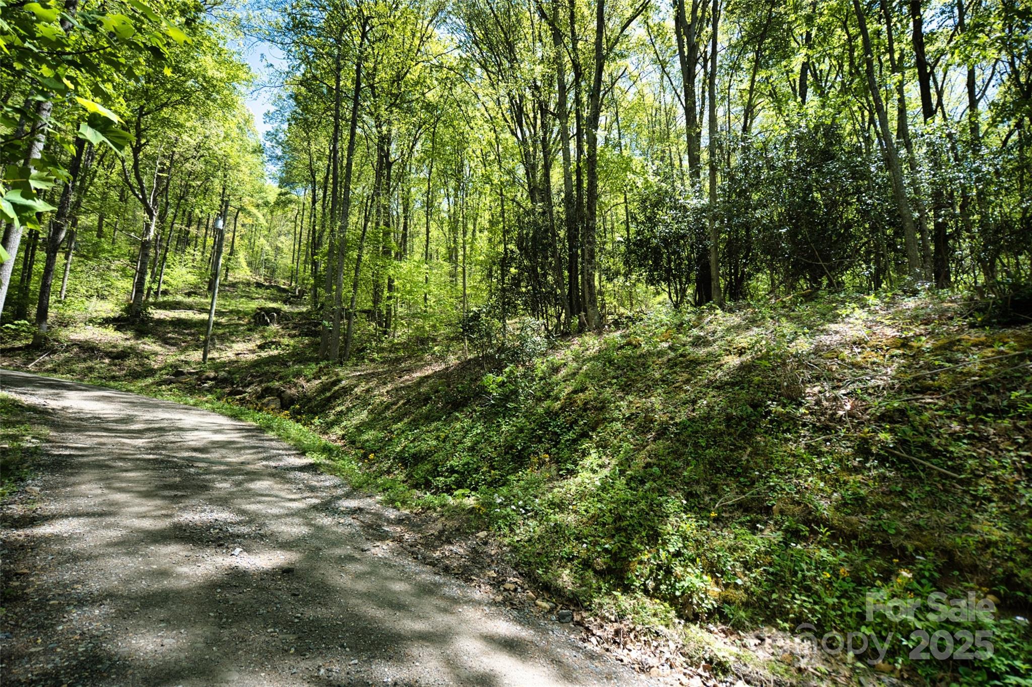 99999 Anderson Cove Road Barnardsville NC 28709