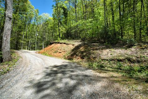 99999 Anderson Cove Road Barnardsville NC 28709