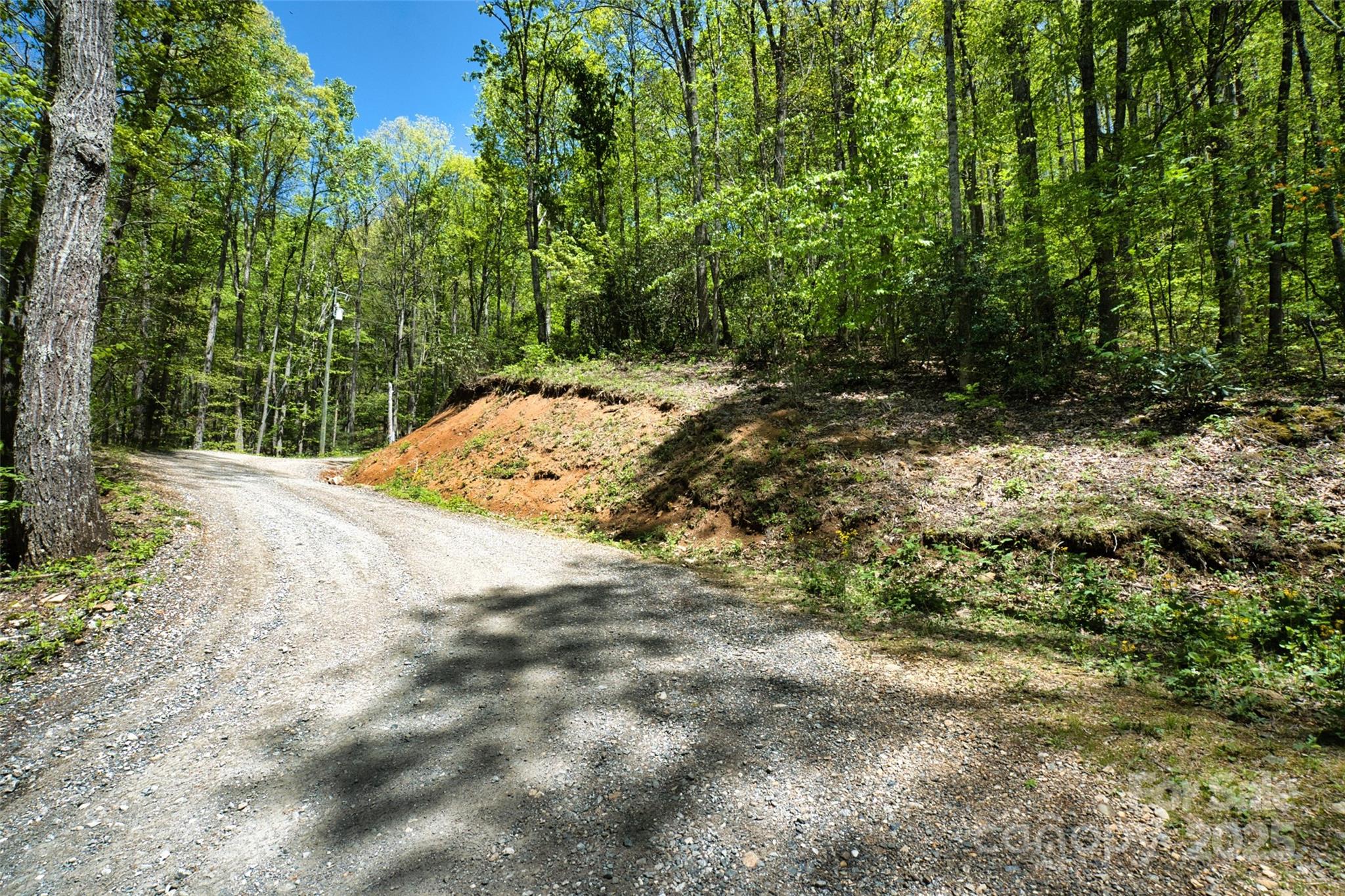 99999 Anderson Cove Road Barnardsville NC 28709