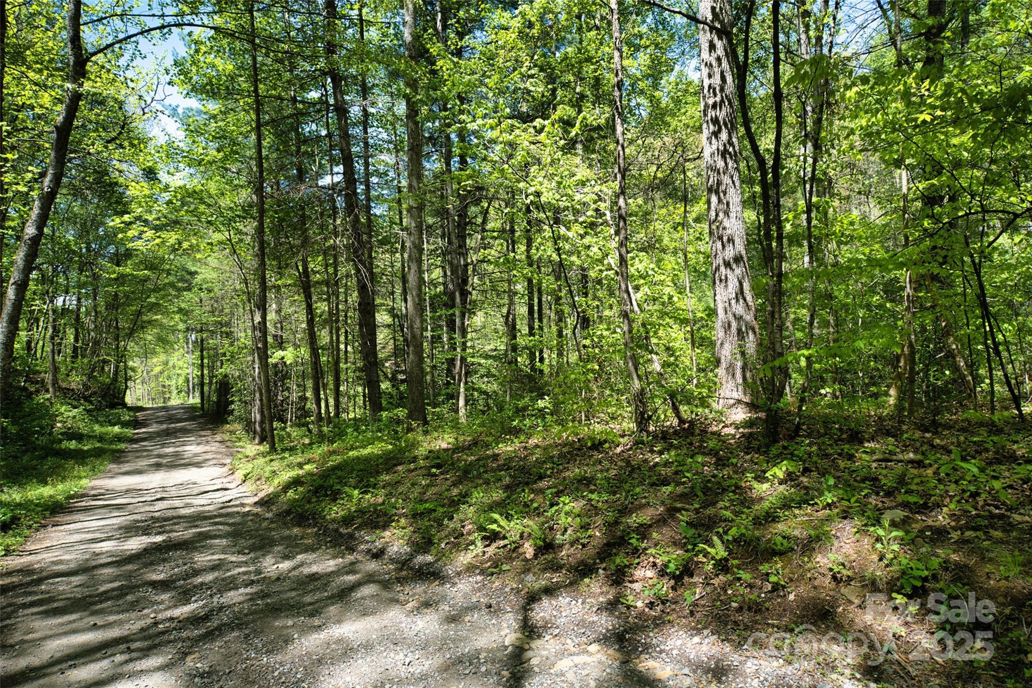 99999 Anderson Cove Road Barnardsville NC 28709