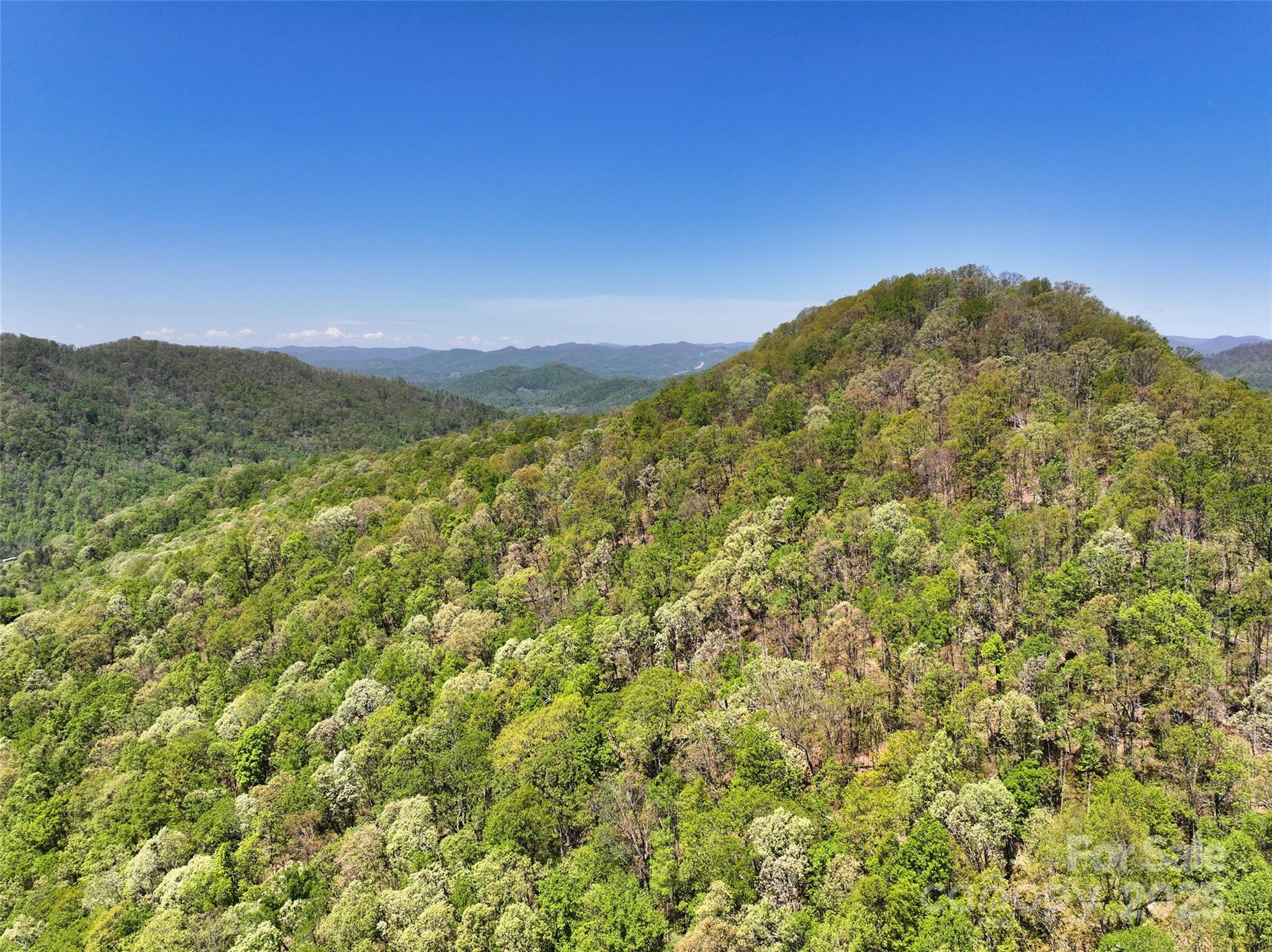 99999 Anderson Cove Road Barnardsville NC 28709