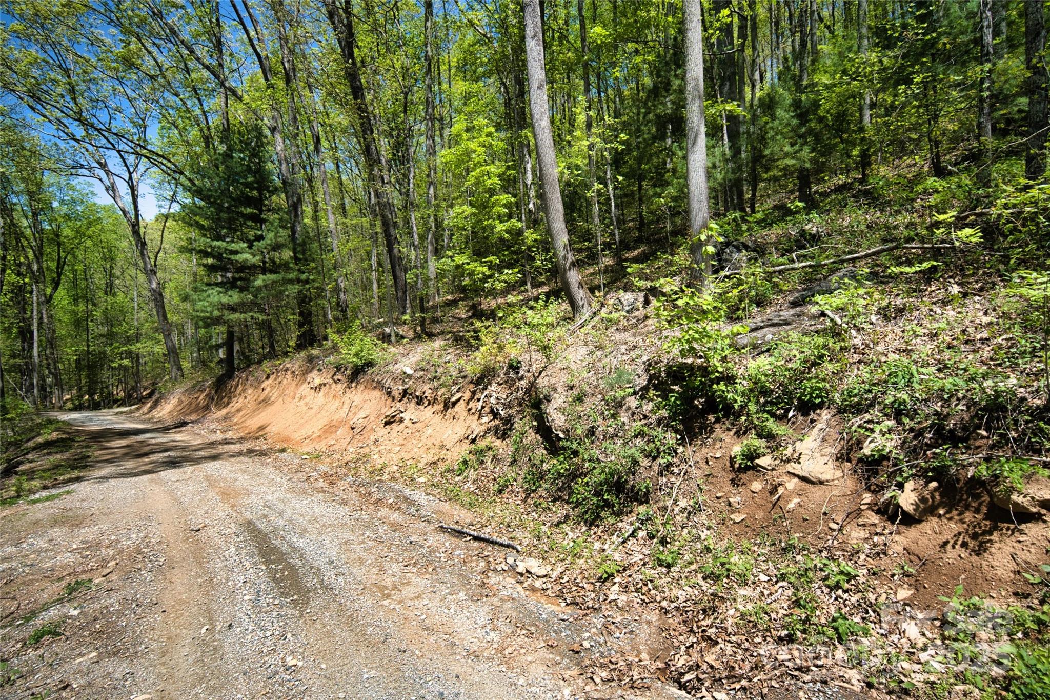 99999 Anderson Cove Road Barnardsville NC 28709