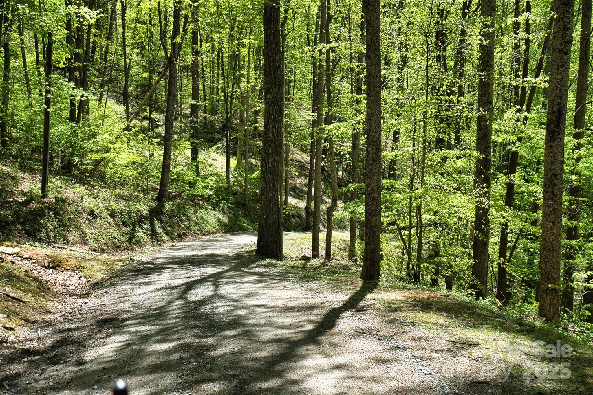 99999 Anderson Cove Road Barnardsville NC 28709