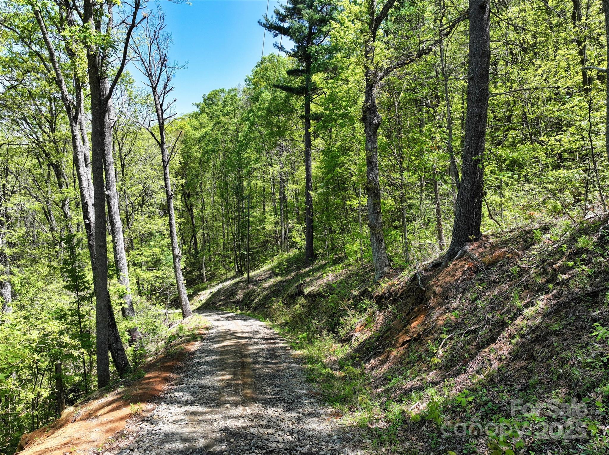 99999 Anderson Cove Road Barnardsville NC 28709