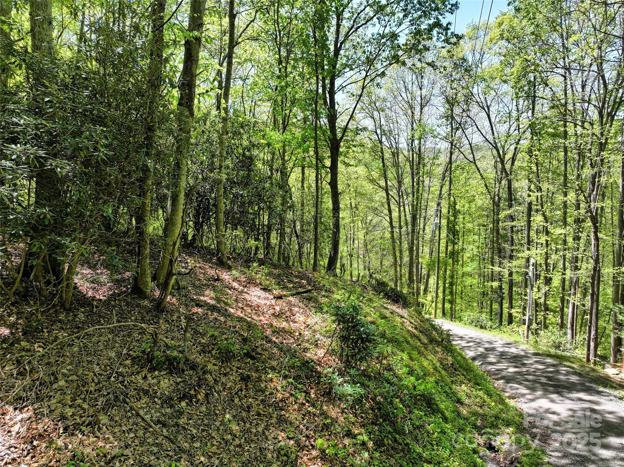 99999 Anderson Cove Road Barnardsville NC 28709