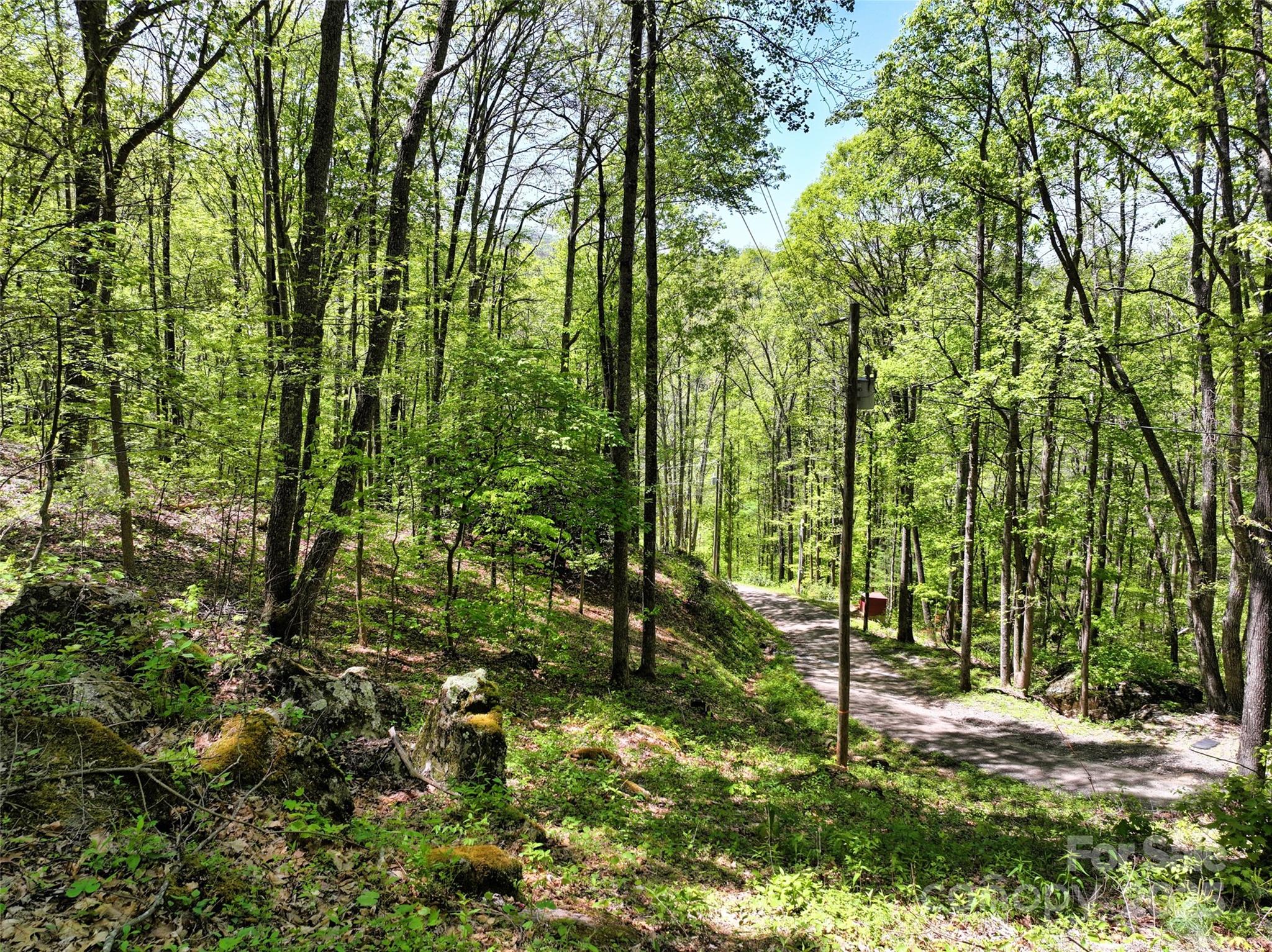 99999 Anderson Cove Road Barnardsville NC 28709