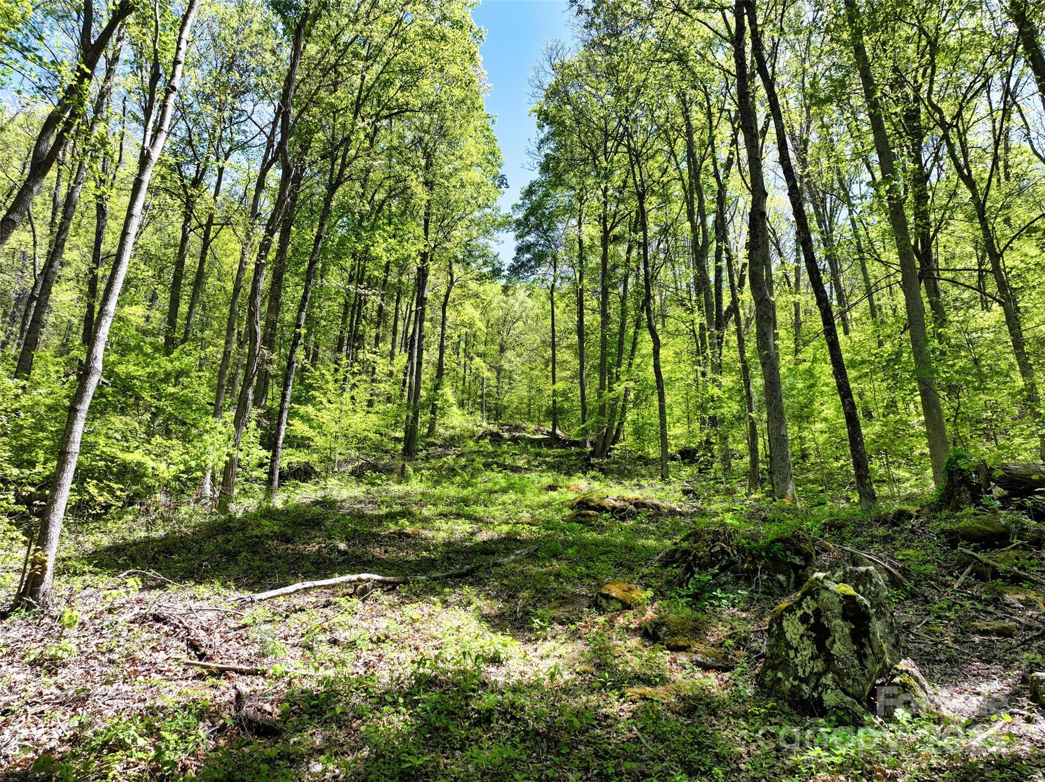 99999 Anderson Cove Road Barnardsville NC 28709