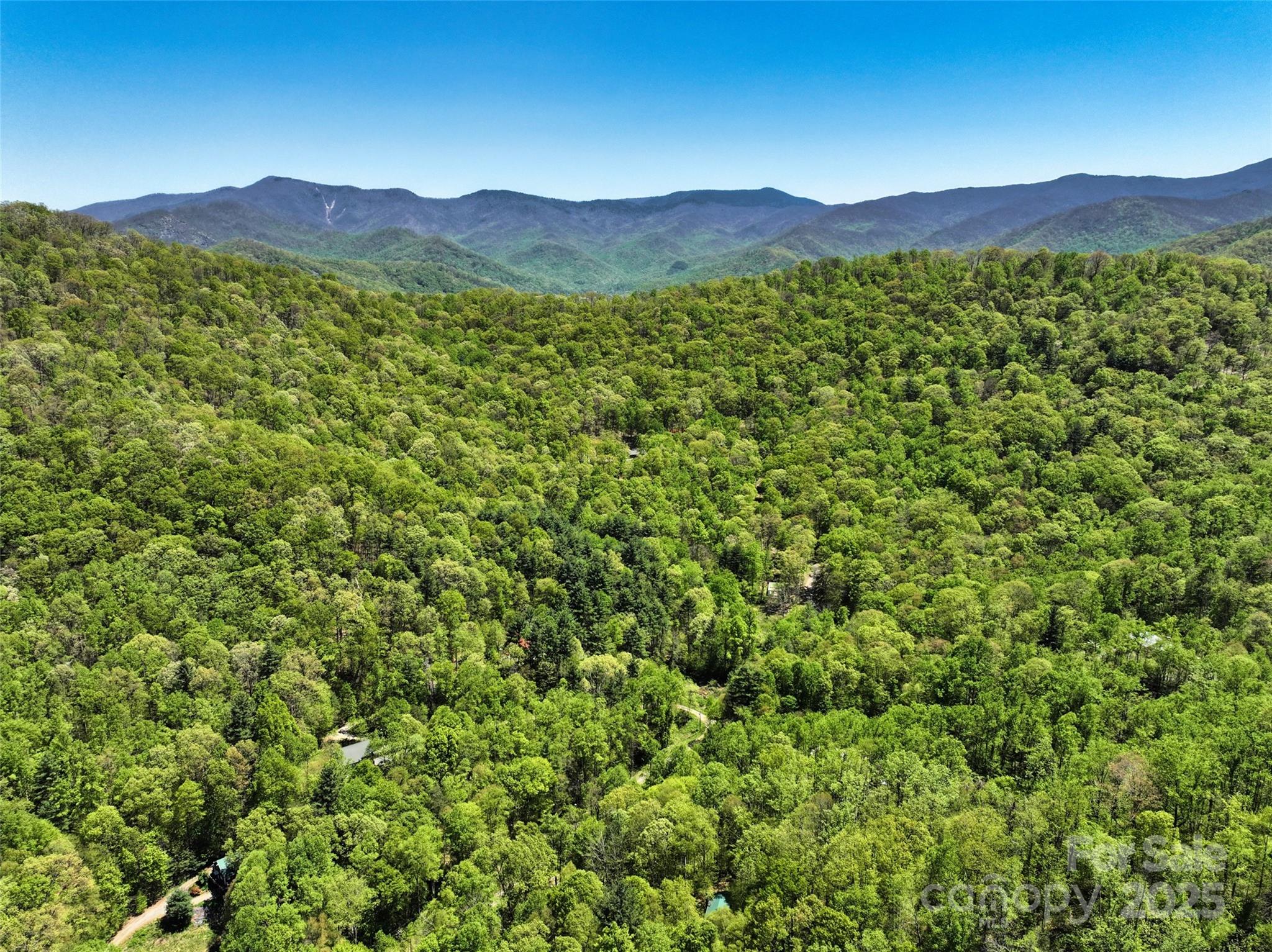 99999 Anderson Cove Road Barnardsville NC 28709